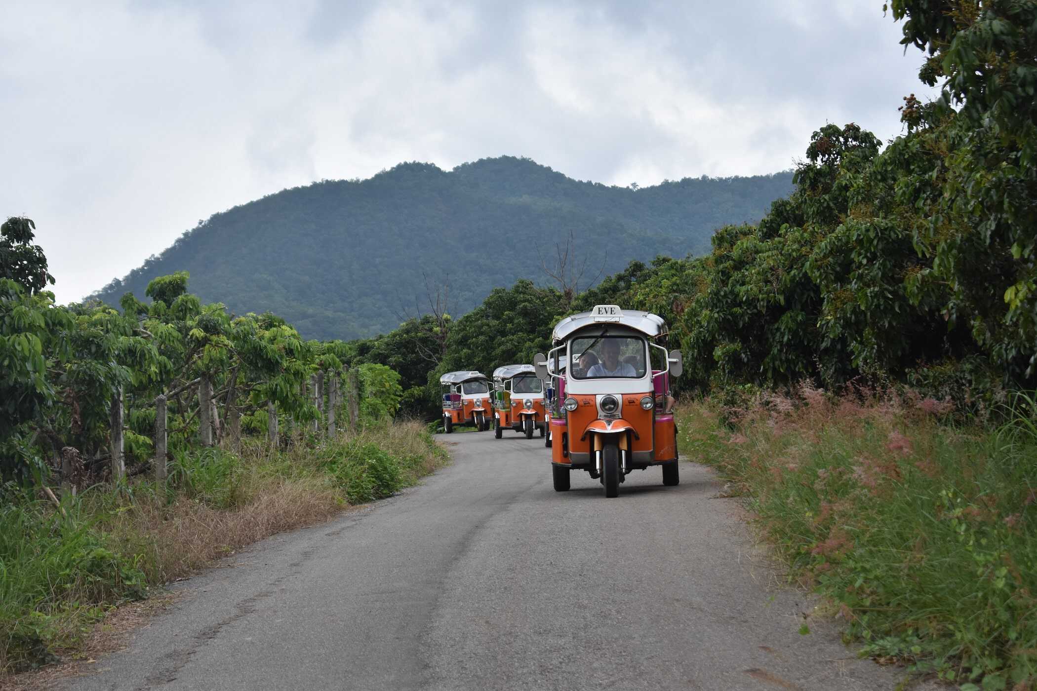THE TUK TUK CLUB ADVENTURES 5