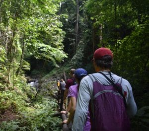 TREKKING IMAGES 5