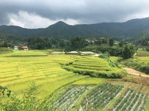 MAE LA NOI 3