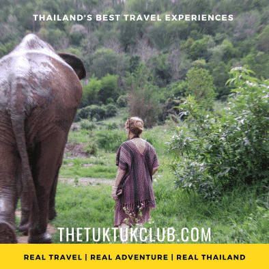 A woman walking alongside a large elephant through the countryside of Northern Thailand
