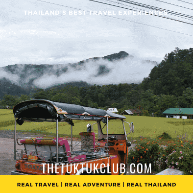 A Tuk Tuk in the foreground overlooping rice fields and mist over forest and hills in Mae Khlang Luang, Northern Thailand