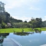 Infinity pool overlooking rice field and forest