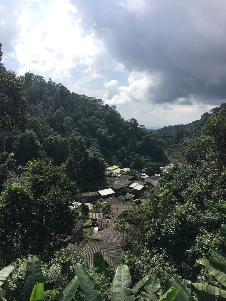 CHIANG MAI DAY TOURS 3 MAE KHAMPONG 2