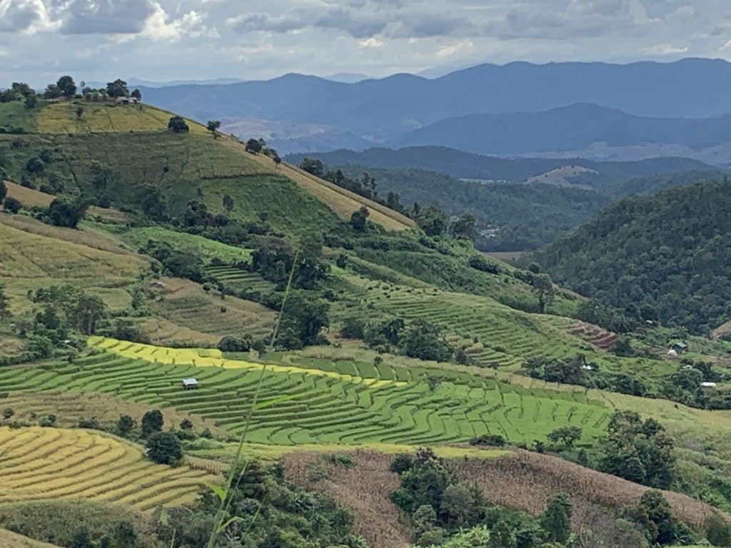 PLACES TO VISIT IN CHIANG MAI 3 PA PONG PIENG