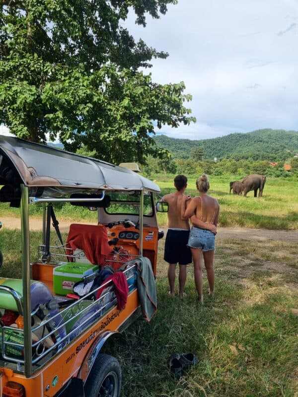 A young couple standing by a Tuk Tuk looking at elephants in the distance