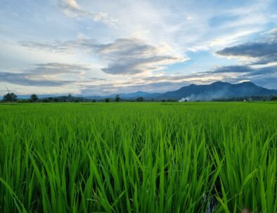 STUNNING SCENERY 3