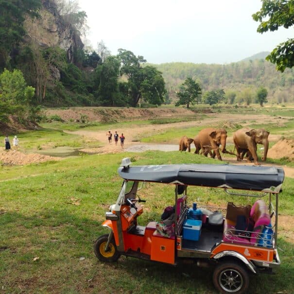A Tuk Tuk parked in the countryside as elephants walk towards it